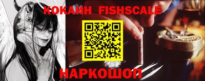 крисы Кингисепп