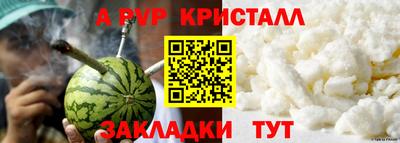 крисы Кингисепп