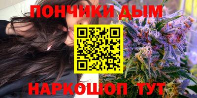 крисы Кингисепп